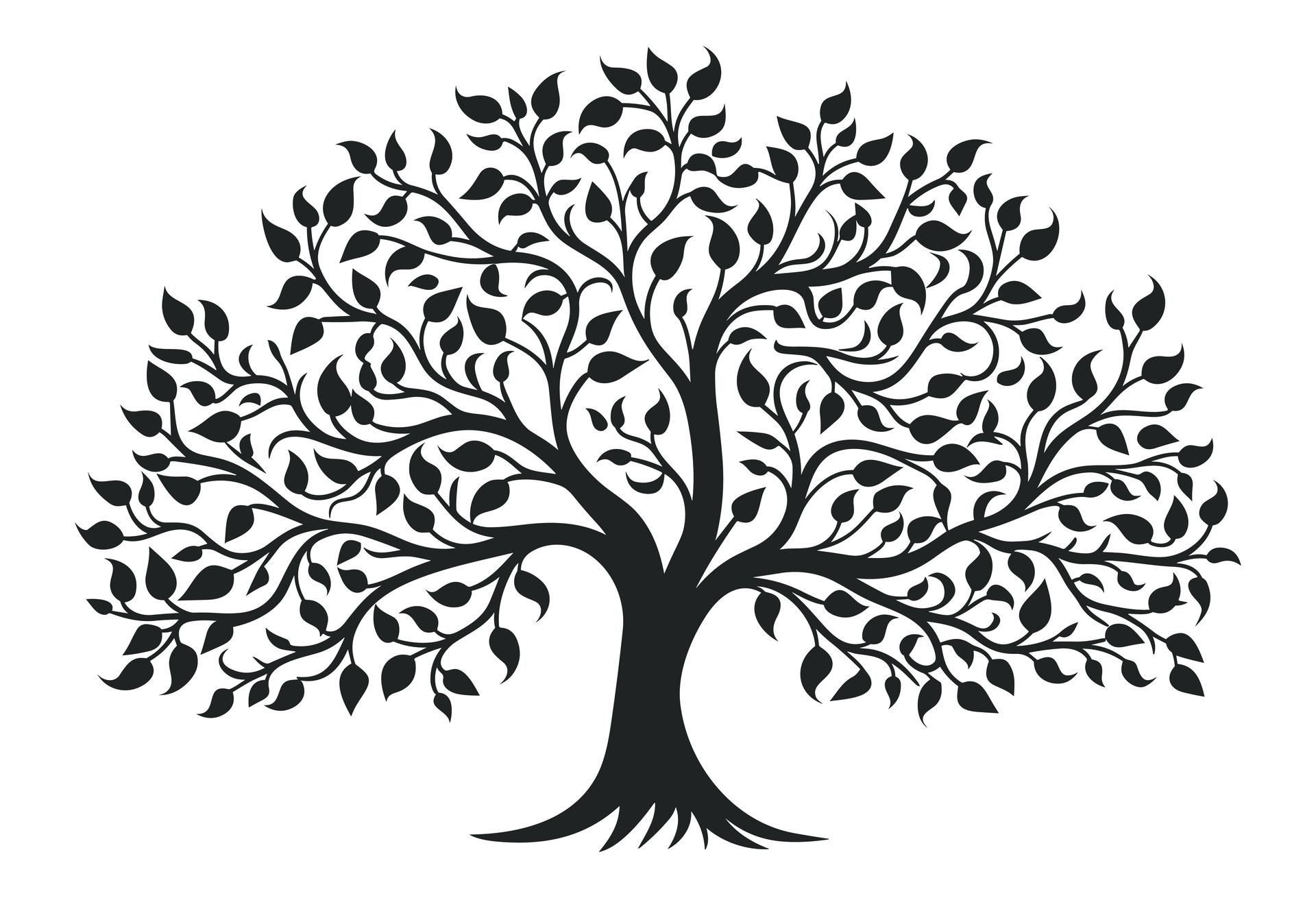 Árboles de Decisión: de la intuición a la predicción